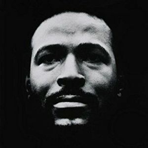 Meet your Posher, Shawn